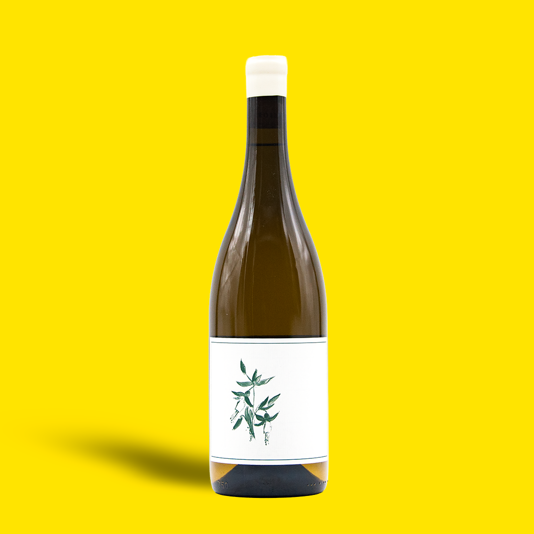 Chardonnay 'Watson Ranch' Napa Valley - Arnot-Roberts
