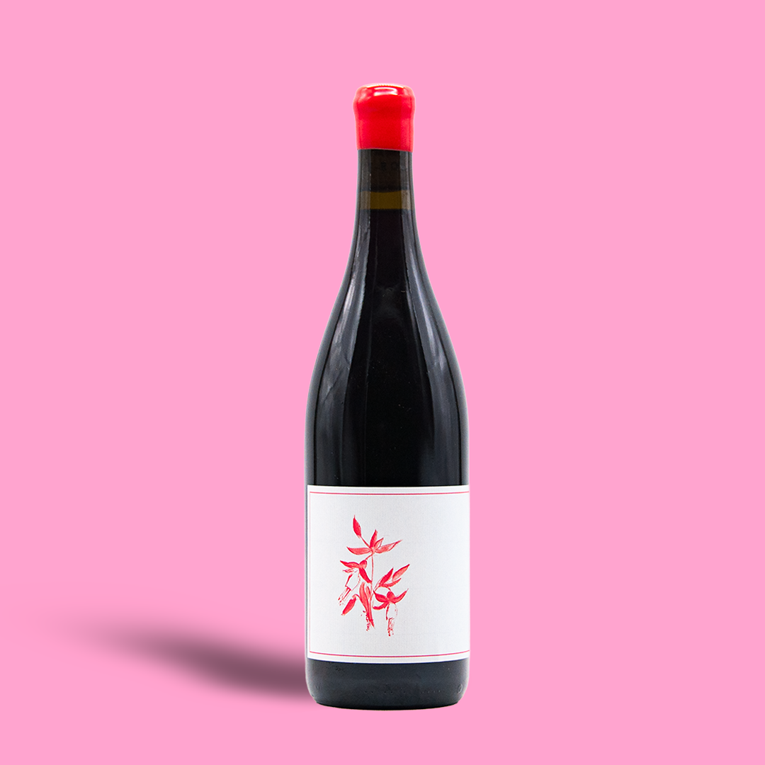 Gamay Noir El Dorado - Arnot-Roberts