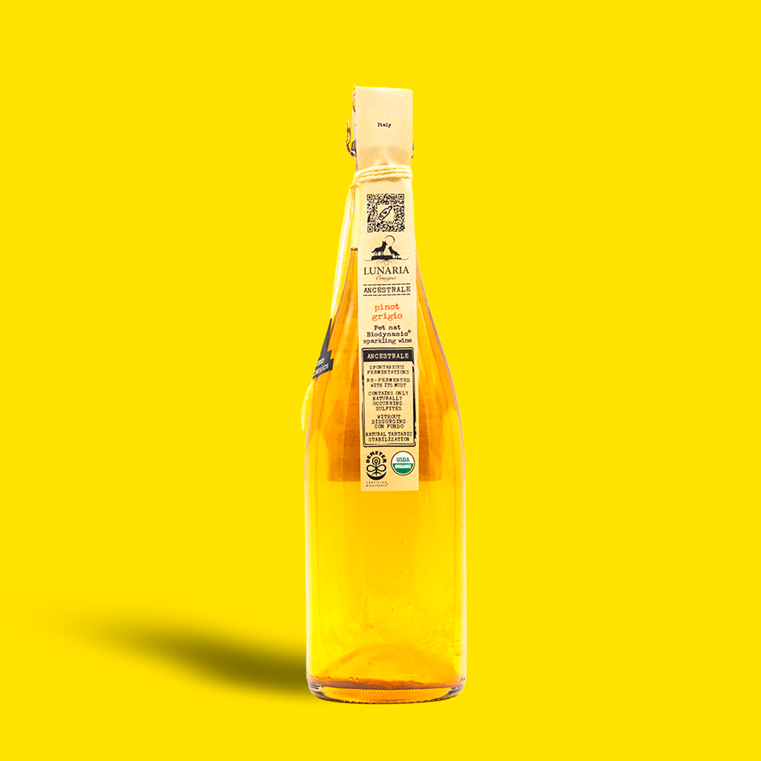 Ancestrale Pinot Grigio Pet Nat - Lunaria