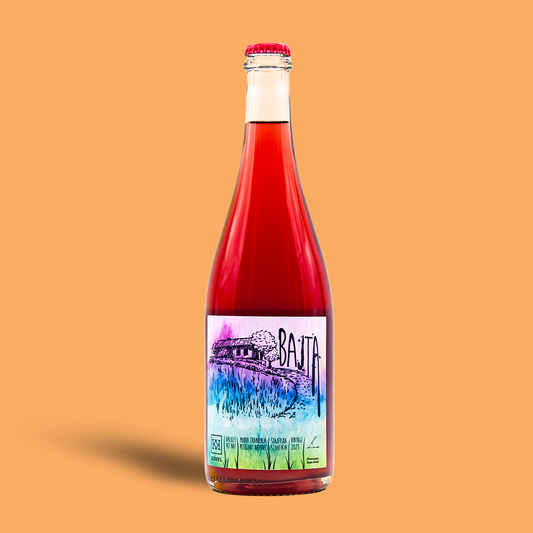 Bajta Blaufränkisch Rosé Pet Nat - Kobal
