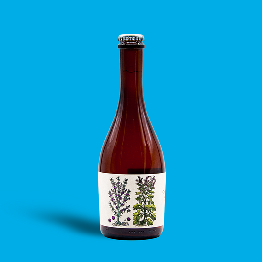 Communis & Vulgaris - Wunderkammer Biermanufaktur