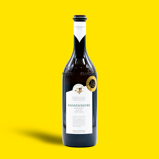 Fendant Grand Cru Amandoleyre - Romain & Vincent Papilloud