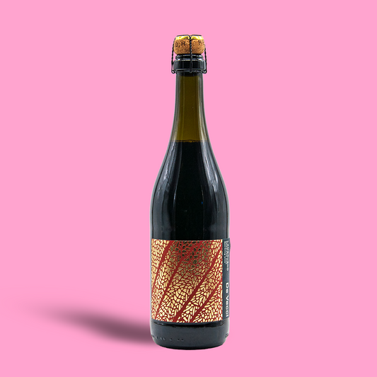 Lambrusco Reggiano DOC - De Vecci