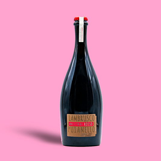 Lambrusco dell'Emilia Anscestrale Rosso - Puianello NV