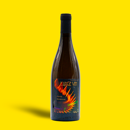 Le Charme du Loir - Domaine de l’Ange Vin (Jean-Pierre Robinot)