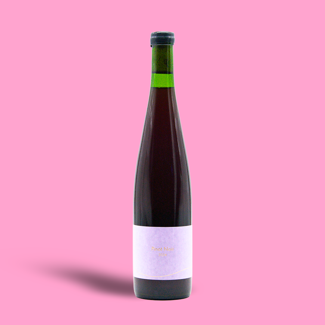 Pinot Noir - Torocco Winery