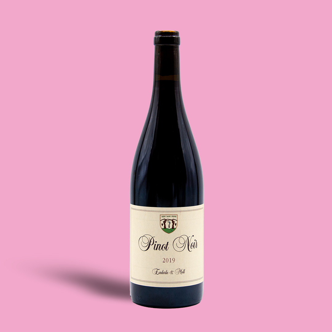 Pinot Noir "Basis" - Enderle & Moll 2019