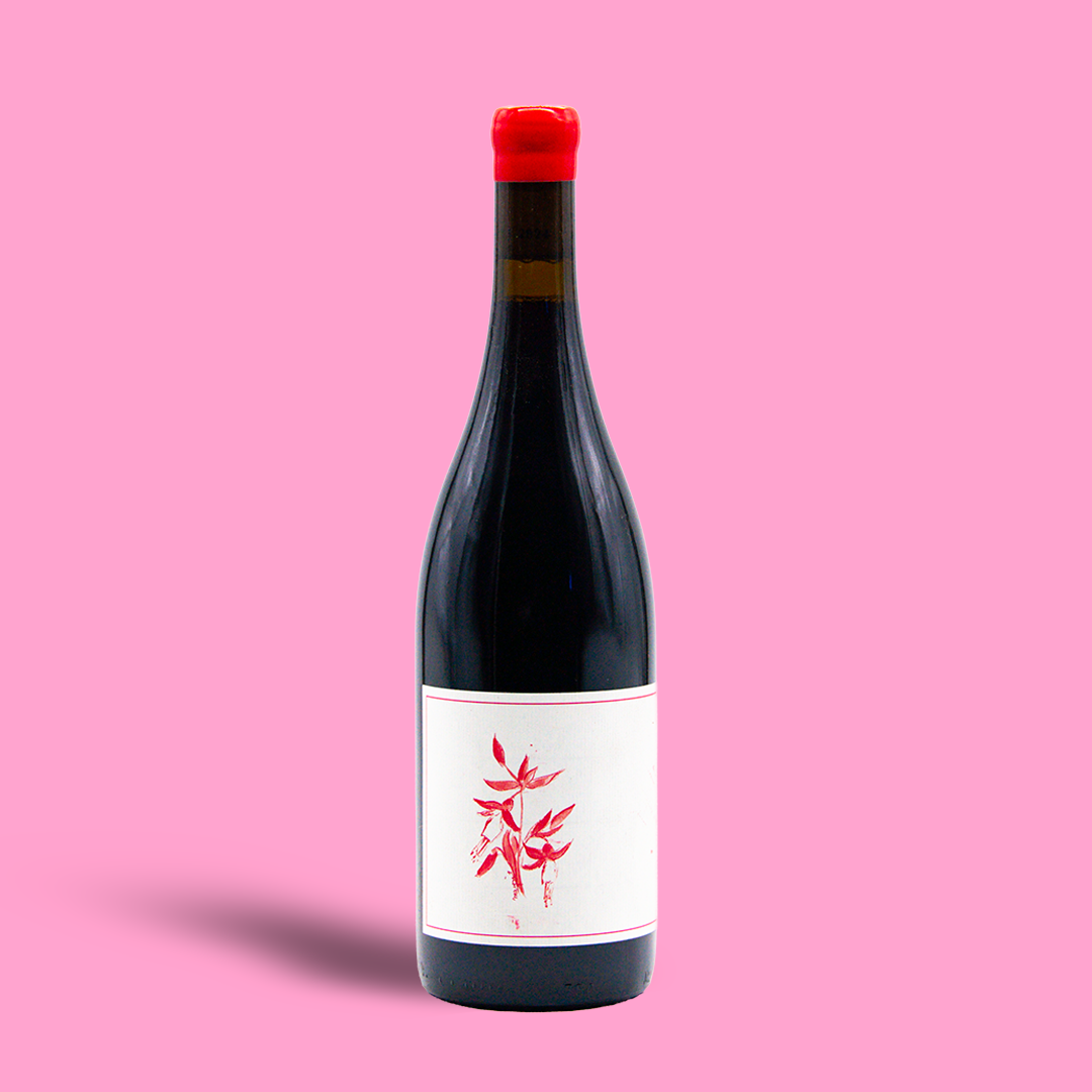 Pinot Noir 'Peter Martin Ray Vineyard' Santa Cruz Mtns - Arnot-Roberts