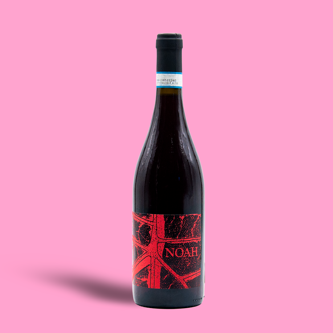 Wine bottle with red label on a pink background