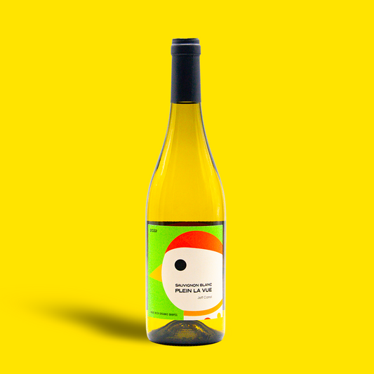 Sauvignon Blanc Plein La Vue - Jeff Carrel