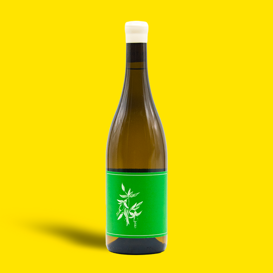 Sauvignon Blanc ‘Randle Hill’ Yorkville Highlands - Arnot-Roberts