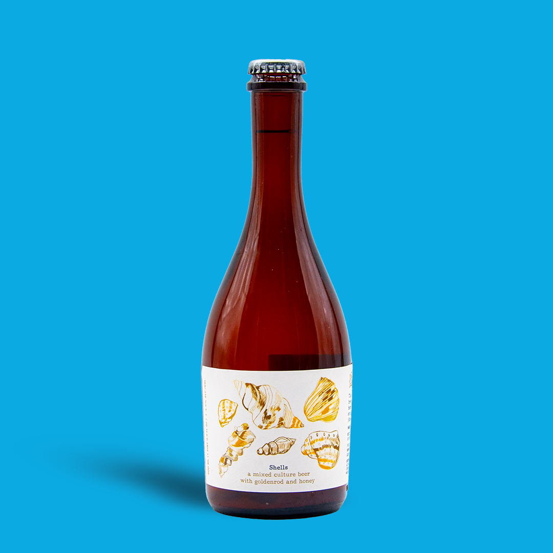 Shell Beer Shells - Wunderkammer Biermanufaktur – The Local: Wine & Beer