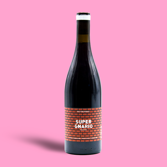 Super Gnario - Field Recordings