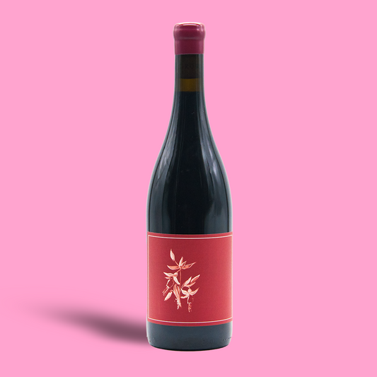 Syrah Sonoma Coast - Arnot-Roberts