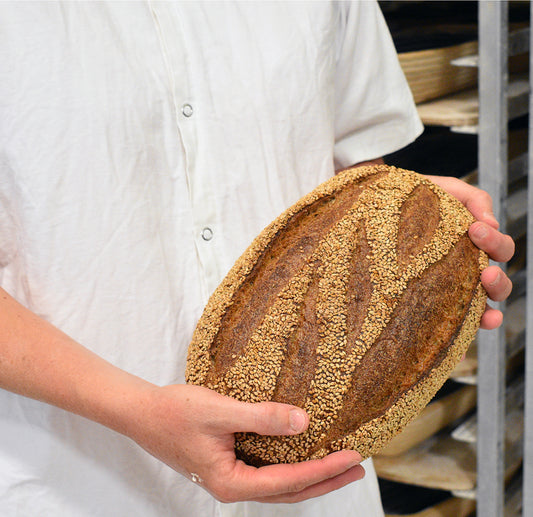 Whole Wheat Sesame - Red Hen Baking Co.