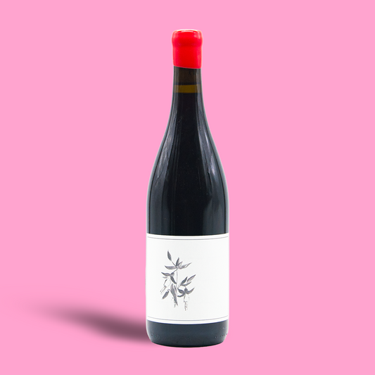 Zinfandel “Kirschenmann Vineyard” Mokulumne River - Arnot-Roberts