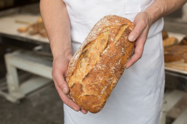 Ciabatta - Red Hen Baking Co.