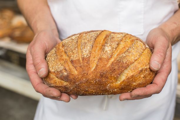 Polenta Bread - Red Hen Baking Co.