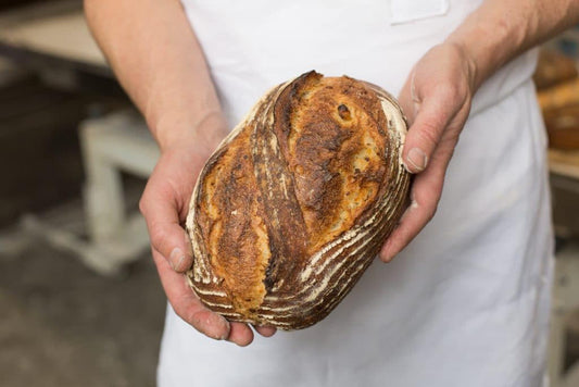 Potato - Red Hen Baking Co.