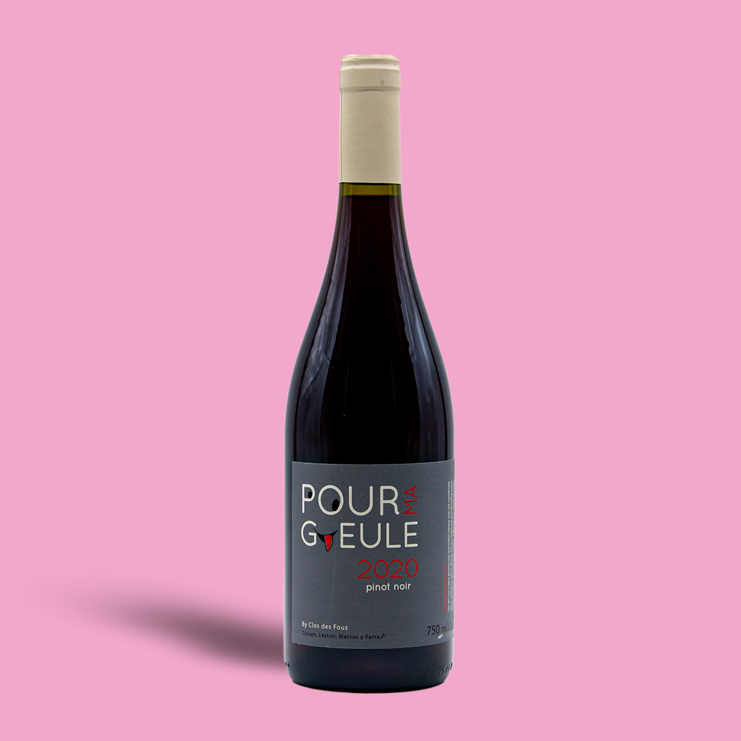 Pinot Noir - Clos des Fous 2020